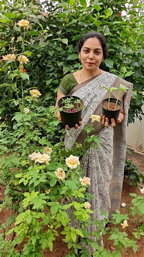 OrganicFarmer on Instagram: "Happy National Farmers Day 🙏 On this Farmer's day, let's thank each & every farmer of this world for their countless efforts 🙏 Kitchen Garden 🏡= Positive Vibes💚💯 We all have to eat - its something that connect us all daily 🙏🏻 When we grow food at home, we built more resilience, enrich the soil and reconnect with the seasons & eat fresh food and share excess🙏🏻 To order our Farm fresh products, kindly click the link in our bio 🙏🏻 Food is Medicine 🙏🏻 Health