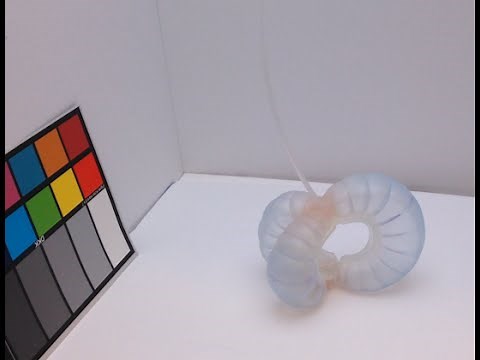 Color-Changing Soft Robots