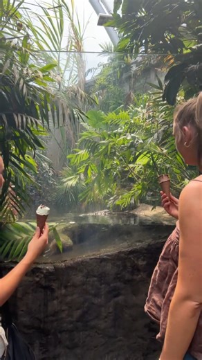 Come and explore Auckland Zoo with us! See all the amazing animals from New Zealand and around the world ❤ ​ We are giving away 10 x Family Passes to the Auckland Zoo and all you have to do is comment below your favourite animal. ​ Winners will be drawn at random from all comments received on Tuesday 19th December. See full T&Cs here: https://www.tiptop.co.nz/competition-tcs/auckland-zoo-giveaway We will never ask for your credit card details and we only message or comment from this official Tip