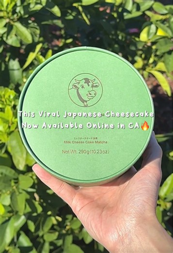 Delicious Matcha Cheesecake at Tokyo Milk Cheese Factory