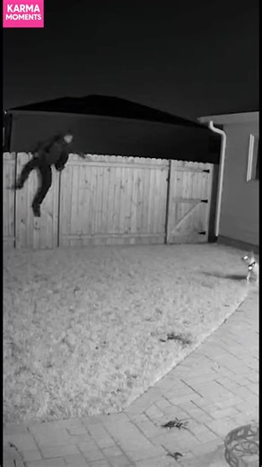 Karma Strikes: Intruder vs. Guard Dog An intruder faces instant karma when a guard dog appears! #fblifestyle #AI Generated using Kling AI . . . (For entertainment purposes only. Consult professionals if guidance on activities is presented. No brand affiliation is implied if any are shown. If inspired by true events, creative adaptations may be included. Content may include public footage.) | Fabiosa Digest