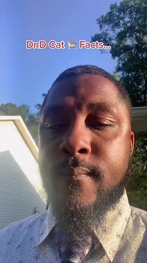 Tabaxi/Leonin Homebrew?!#dnd #dndtiktok #dnd5e #dndtabaxi #leonin #PassTheBIC #dndconcept #ComeDanceWithMe #fyp #fup #4yp #4up #ScreamItOut #ogblerdfamily #chaoticconclave #moonflowerclan #starbreakernation #wolvesofsehanine #ByeByeSundayBlues #TurboTaxAndRelax #blerdsofdnd