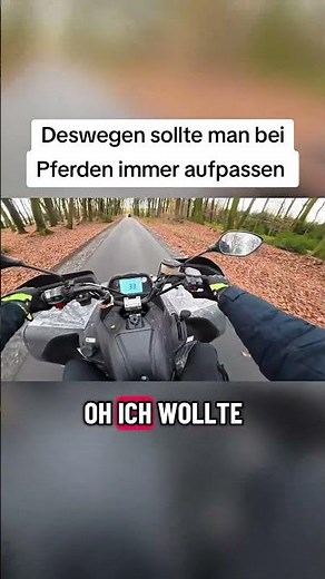 Pferde erschrecken sich schneller als man denkt #motovlog #pferde #verkehr #quad