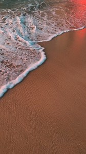 Burj Al Arab, One and only seven star hotel in the world 🤩 #dubai #InDubai #burjalarab #sevenstarhotel #dxb | Ameen.amp