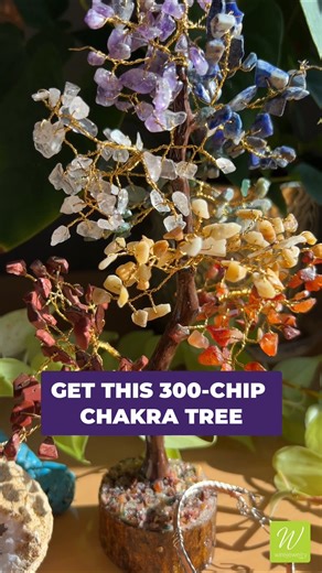 3.8K views · 20 reactions | Bring balance and beauty to your space this season. Our Black Friday Sale is live, and when you grab any Doorbuster Kit, you’ll earn a 300-chip Chakra Tree for FREE. These are going fast. Claim yours while supplies last: https://bit.ly/Free-Chakra-Tree | WireJewelry | Facebook
