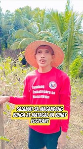 163K views · 4.2K reactions | Papalitan Na Natin Ang Eggplant Kalabasa Naman Ang Ating Ipapalit #parasbukidvlog #foryoupageシ #viewers | Ka Bakat Farm | Facebook
