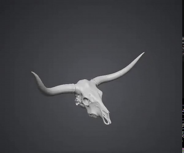 Longhorn Skull - 3D File - Etsy