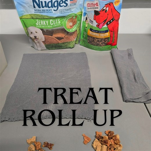 Shiawassee Humane Society on Instagram: "Sniff, lick, chew it's Enrichment Wednesday! Who turned the heat down outside?! Want some fun enrichment ideas to do inside with your dog? Cuortesy of Chester and Ruby, they bring you the Treat Roll Up! Use a towel, wash cloth, blanket or even a scrap piece of fabric like we did here. Roll some treats up inside and let your dog have fun sniffing, unrolling, and treating themselves. Or in Rubys case just picking it up and letting them all fall out! Take it