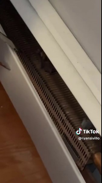 sign me up for a horror movie w that scream #batman