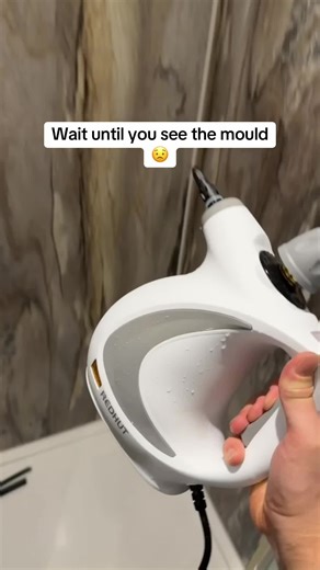 Effective Cleaning Tips for Severe Mould Issues