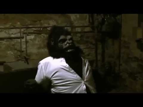 Weregorilla Transformation 8