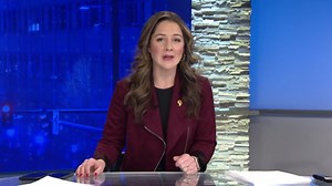 Hackers find that some Flock surveillance cameras are easily accessible online