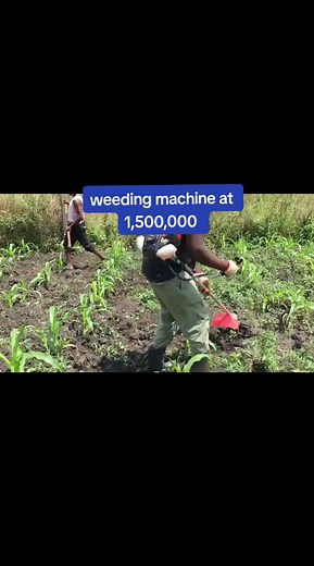 Innovative Agriculture: Efficient Weeding Machine at 1,500,000