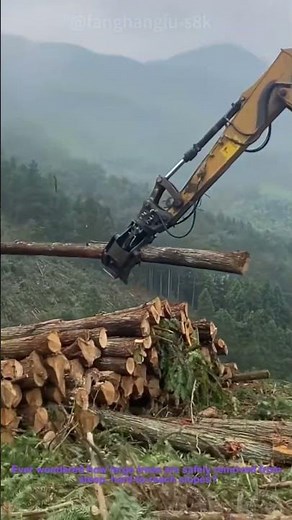 How Excavators Cut and Clear Trees in Forests