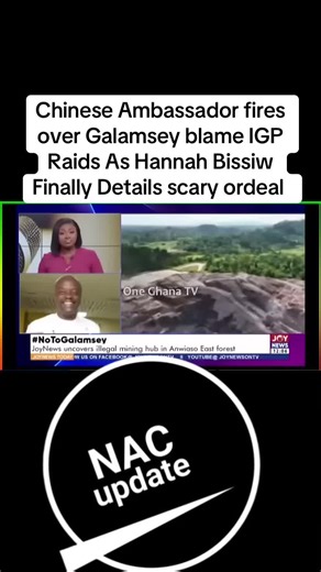 Chinese Ambassador Responds to Galamsey Blame and Raids