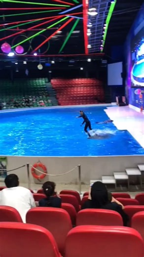 fish video 🐬 | #shorts #cute #fishing #fish #dolphin