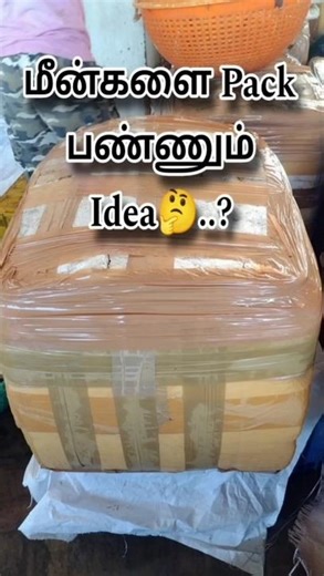 Genius Fish Packing Idea! Fishermen’s Smart Technique 🔥🐟 #Pamban #fishing