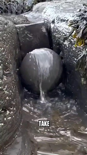 What’s Hiding Inside These Rocks?