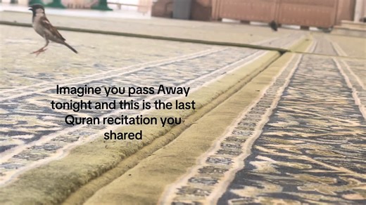 Reflecting on Quran Recitation: A Contemplative Moment