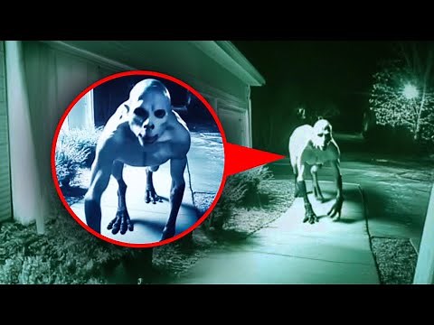 15 Scary Videos That Will HORRIFY You!