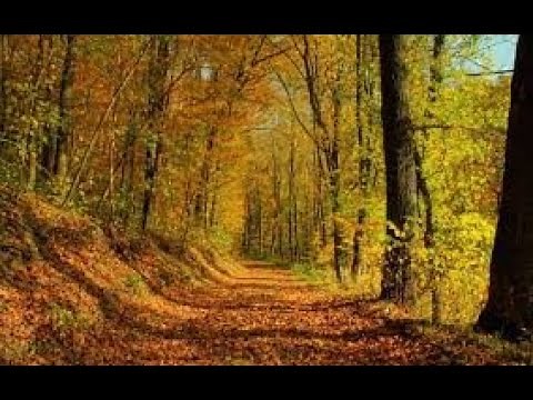 Expat John Pint Speaks About Living Just Outside of Guadalajara, Mexico