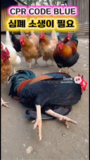 심폐 소생이 필요하다,(CPR CODE BLUE)