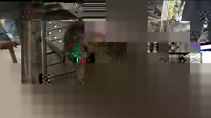 Behind the scenes of Martin Clunes’ new documentary filmed on Rottnest Island. WA NEWS I www.7News.com.au #7News | 7NEWS Perth