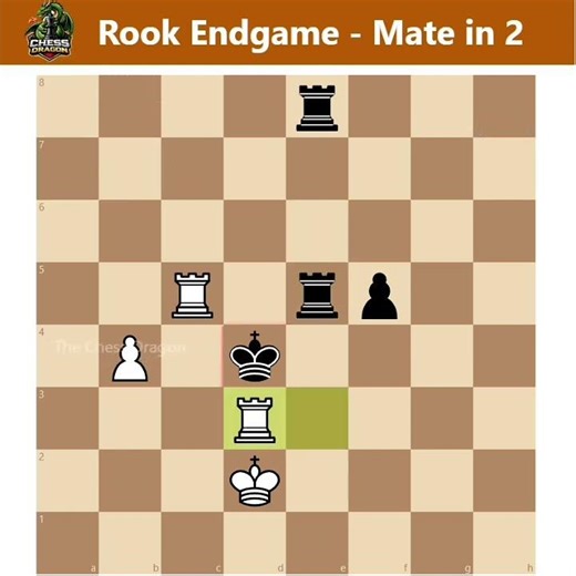 Rook Endgame Mate in 2 ♟️🔥 #chess #chesstactics #checkmate #shorts #chesspuzzle #rook #endgame