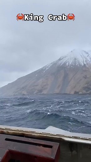 😲😲😲 🦀🦀 Harvest time👌👌 @followers @highlight #amazingvideo | Gary Valiente