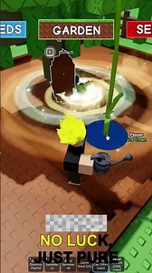 Cacao Seed Germination Made Easy 🍫🌱 | Step-by-Step Guide