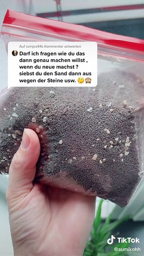 @svinjos94 antworten Triops züchten 🥰🦀 #fypシ #trend #triops #crab #aquarium