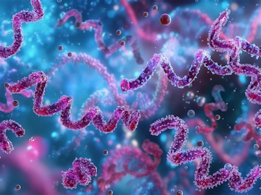 As syphilis cases rise, study links infection with higher risk of stroke, heart attack and other serious cardiovascular problems