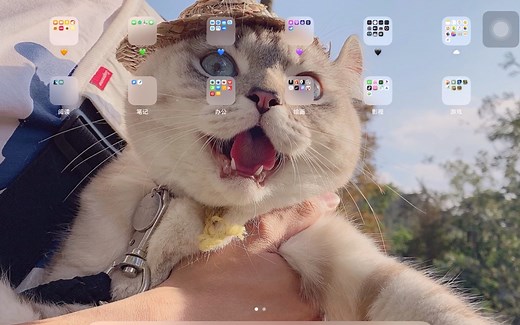 iPad 软件教程 （一）办公 ppt 制作教程