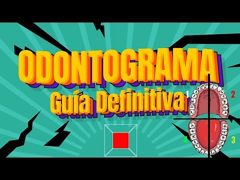 🦷DENTAL ODONTOGRAM Definitive Guide / Easy-to-Understand Dentistry