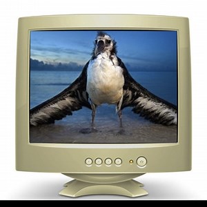 L'albatros de Baudelaire : analyse