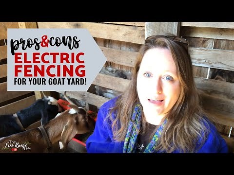 Pros and Cons of Using Electric Fencing for Goats