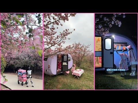 Immersive and adorable RV camping experience 🚗 Girls bring AI robots to camping