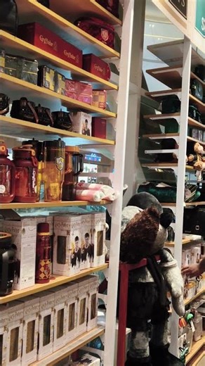 Harry Potter fan walking into MINISO Every corner feels like magic ♥️⚡ #Potterhead #WizardingWorld
