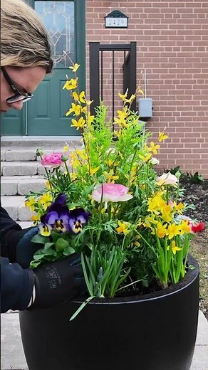 STOP SCROLLING! We're building the prettiest spring planter ever! 🌸💛