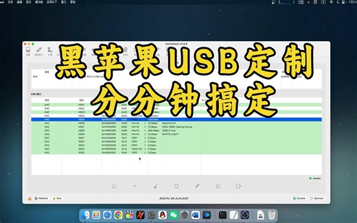 最详细的黑苹果USB定制教程，一分钟获取属于你的USB接口【平头哥解说】