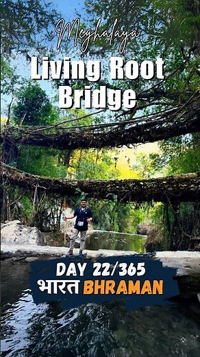 Day 22/365 Meghalaya's Living Root Bridges: Nature’s Incredible Engineering!