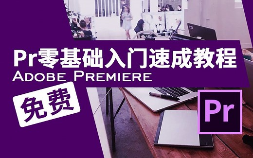 Pr2020零基础入门教程 Adobe Premiere Pro 2020 视频剪辑快速入门 PR CC 2020 2018 教学视频 萌新UP主必备