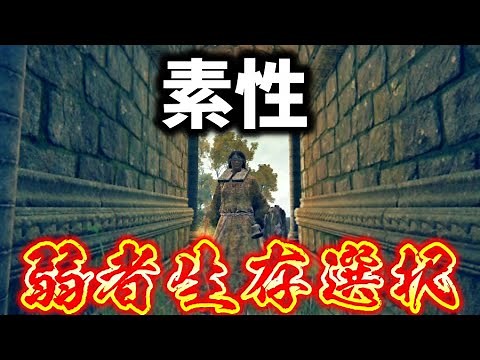 エルデンリング】ネタバレ無し、初心者が序盤で詰まない「素性」【ELDEN RING】