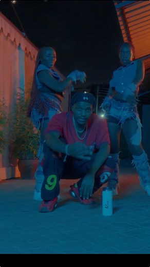 Tipsy Gee: The Tiri Tiri Dance Challenge