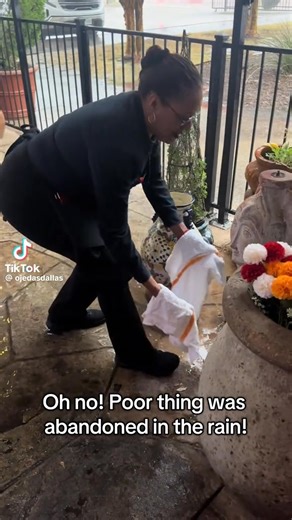 1.1K views · 22 reactions | Rebecca Clark on Reels | Facebook