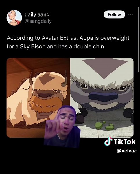 Appa is Fluffy, NOT fat #greenscreen #avatarthelastairbender #avatar #atla #xelvaz #appa #aang #netflixavatar #avatarnetflix