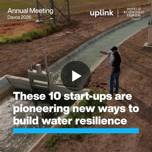 #bluedavos #water #wef26 | Megan Gerryts