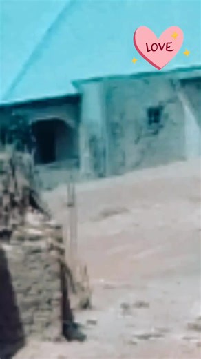 PRIVILEDGE (@priviledge71)’s videos with original sound - 5g_shot