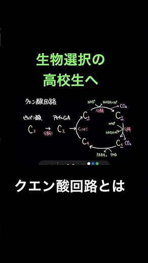 クエン酸回路とは #高校生物