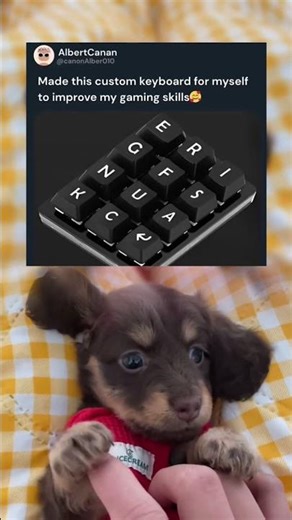 The Ultimate Cursed Gaming Keyboard 💀 #memes #fun #pets